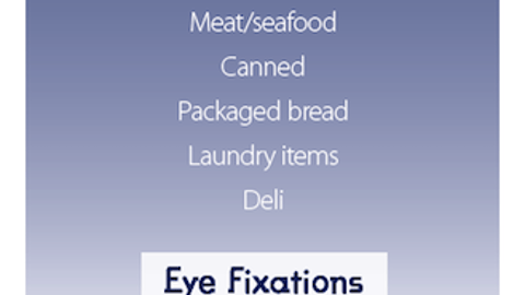 Top Categories Receiving Eye Fixations